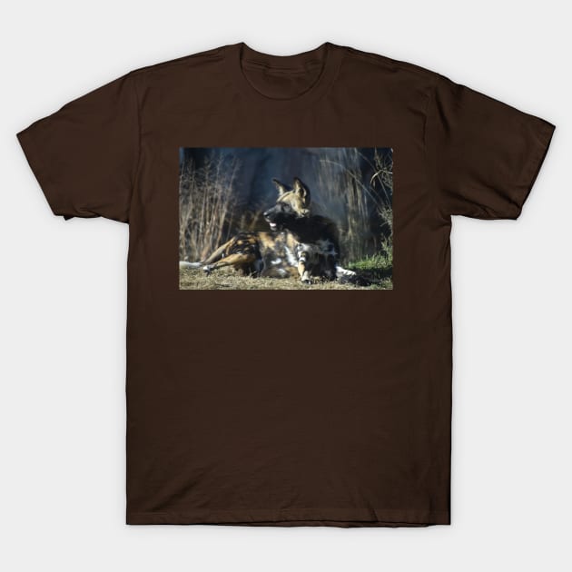 African Painted Dog T-Shirt by Sharonzoolady